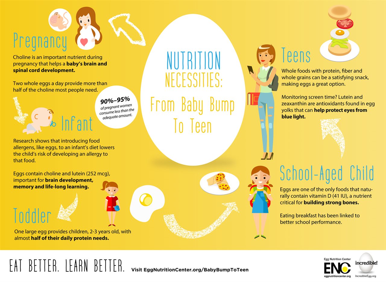 From baby bump to teen: Why eggs are a nutrition necessity (Infographic) –  Chicago Tribune