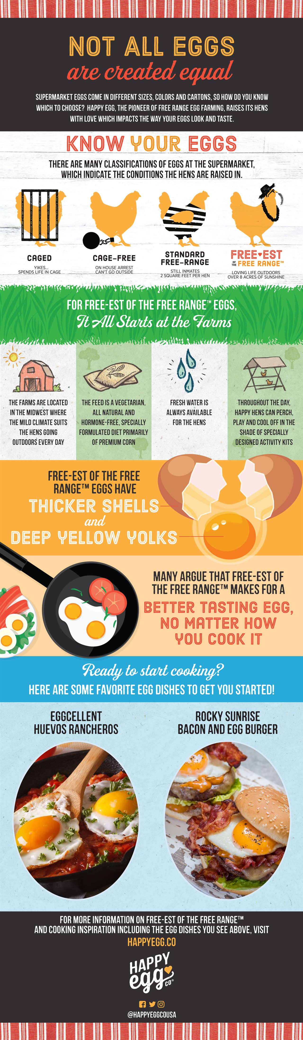 How do you know which egg to choose? (Infographic) – Chicago Tribune