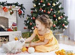 Deck the halls with tissues and allergy meds