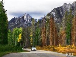The ultimate road trip