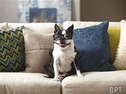 Top 2014 home improvement trends: smart homes and home automation