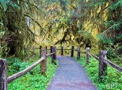 The 5 best natural attractions in the Pacific Northwest