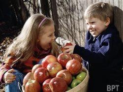 Five fun and affordable fall activities your family will love