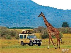 The new generation of guided tours: it's time to think outside the bus