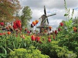River cruise through Europe in the spring to tantalize the senses