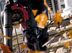 Five lawn care tips and projects to complete before winter