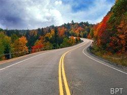 Turn a new leaf with a fall family road trip
