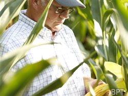 Farmers: Three planning considerations for 2014