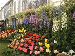 For gardeners and lovers of flowers, London in May is the place to be