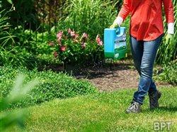 For small lawns, choose smart tools that get the job done quickly and store away neatly