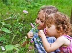 Five things you should know about spring allergies