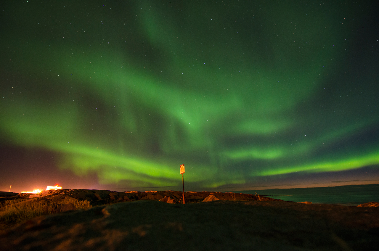 Bears, beluga and Aurora Borealis: 5 wild ways to explore Churchill 