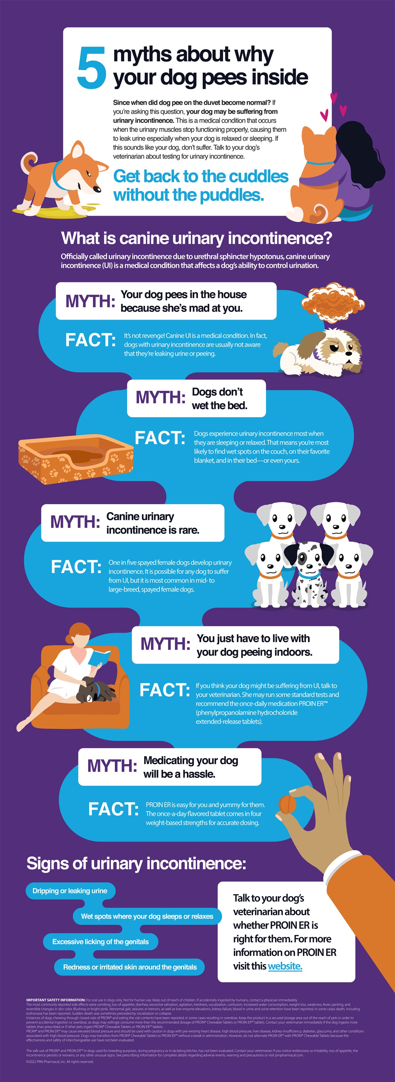 5 myths about why your dog pees inside [infographic] – Home Improvement ...