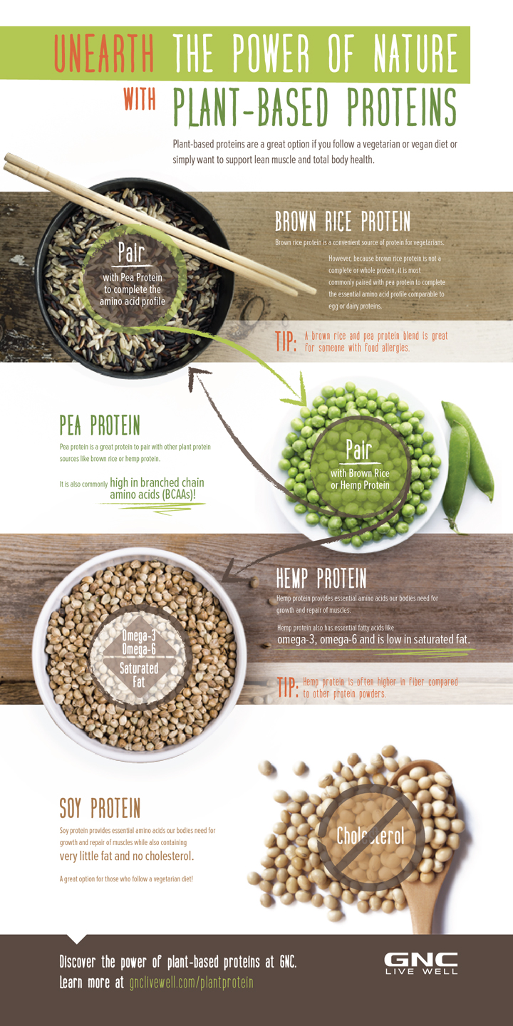 BrandpointContent The power of plantbased proteins [Infographic]