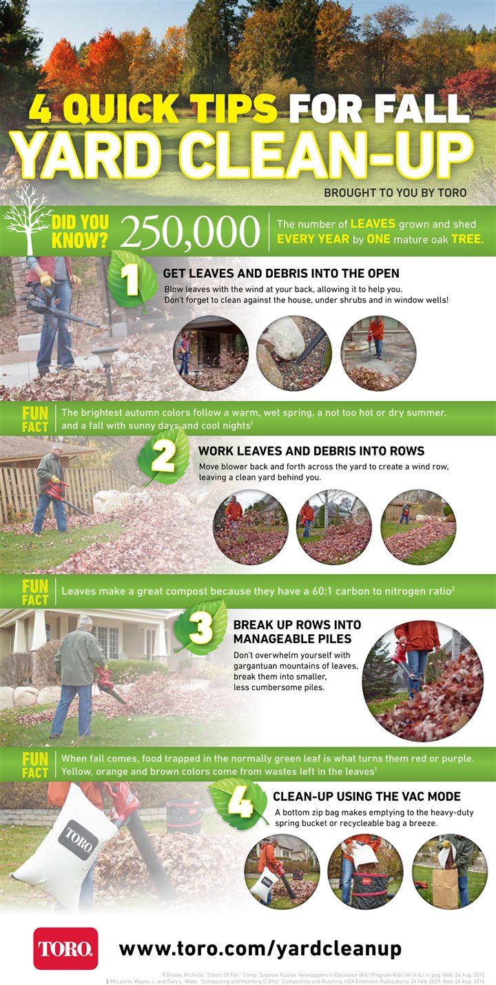Tips for fast fall yard clean-up [Infographic] – Baltimore Sun