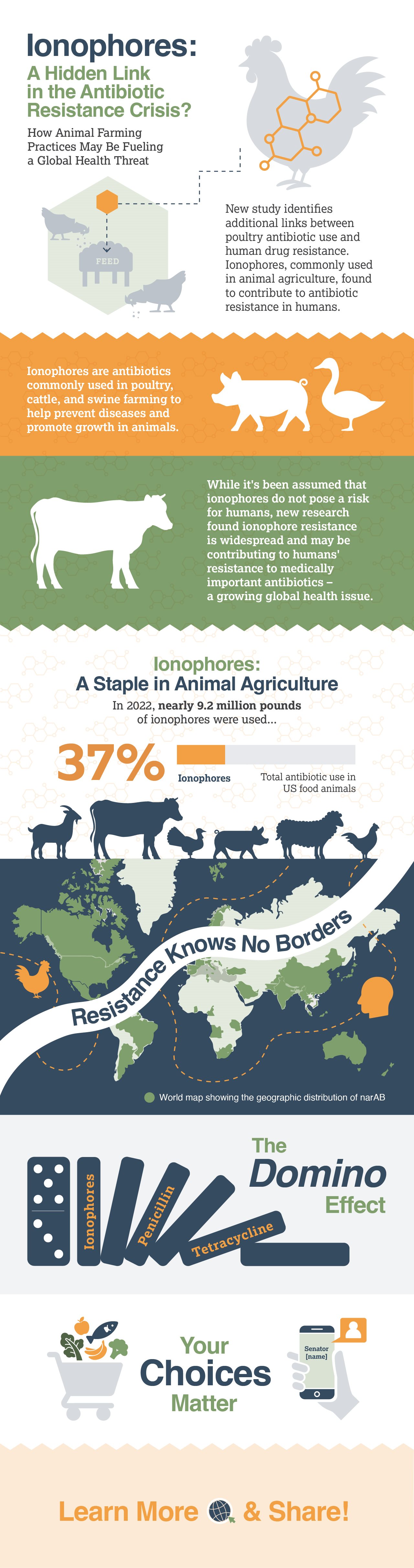 Infographic
