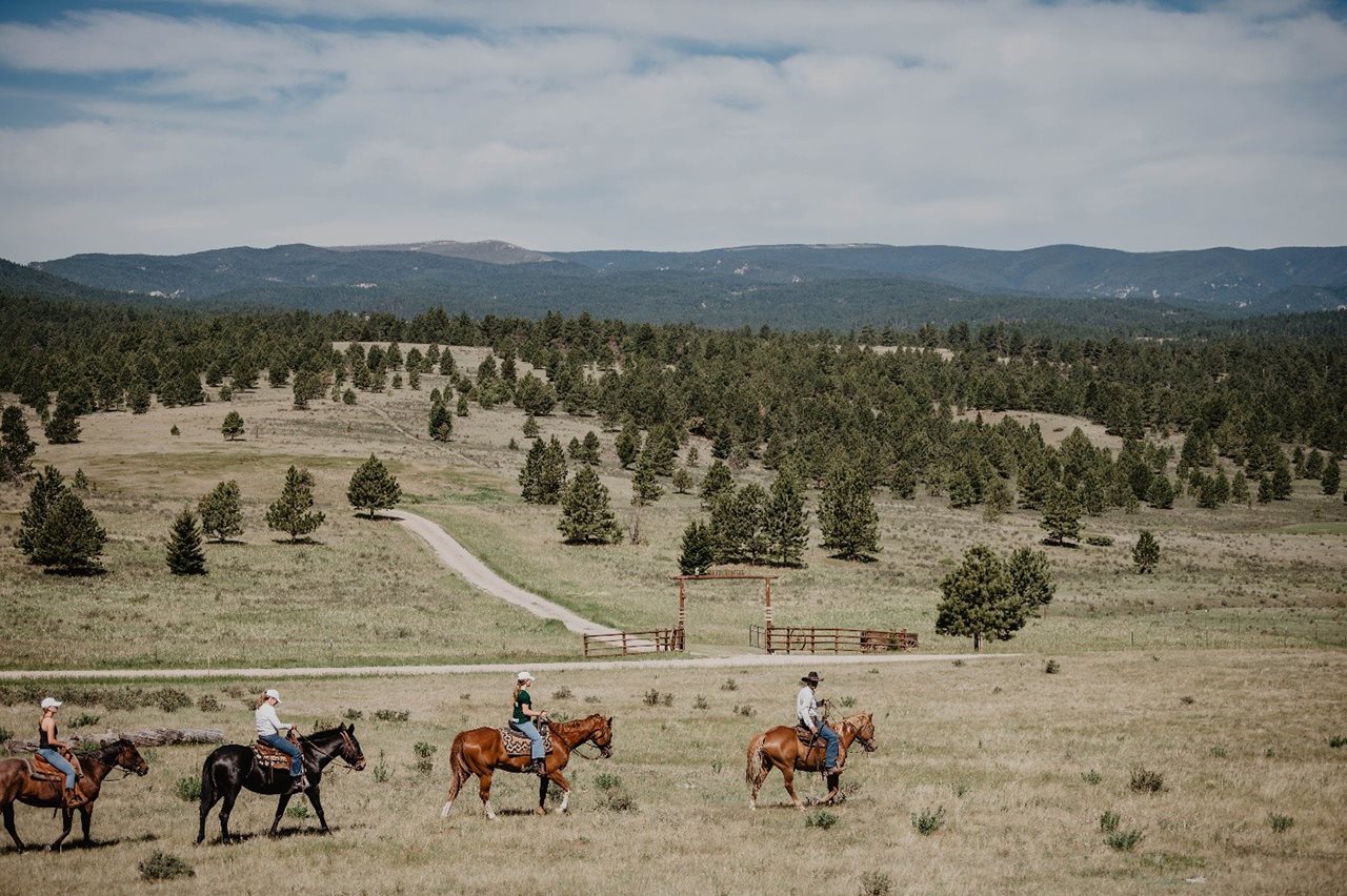 Four riders on the trail at the Circle Bar Ranch.