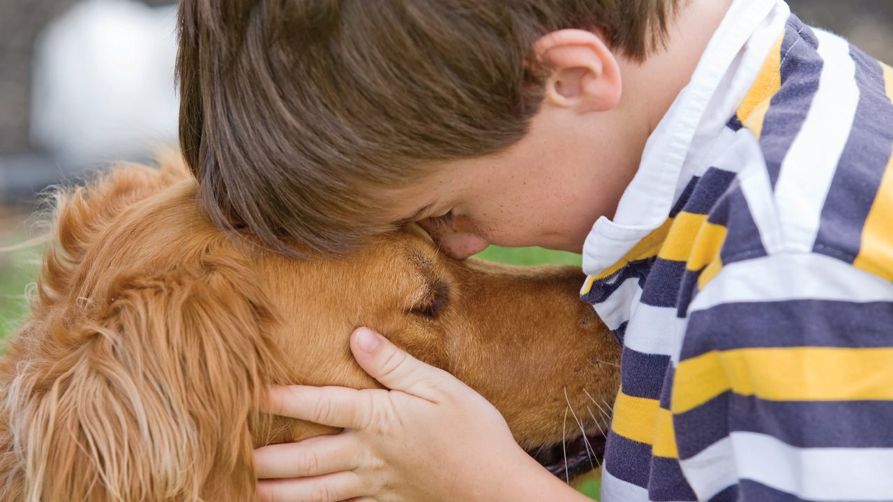 how can dogs tell if someone has cancer