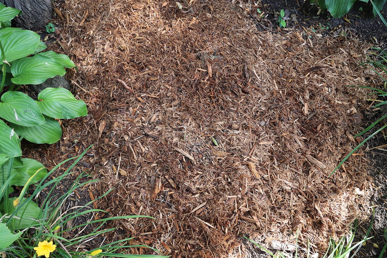 Before image of land scaping prior to application of NorthRock Mulch Renew<sup><sup><sup><sup><sup><sup><sup><sup><sup><sup>&reg;</sup></sup></sup></sup></sup></sup></sup></sup></sup></sup>, from TCC Materials