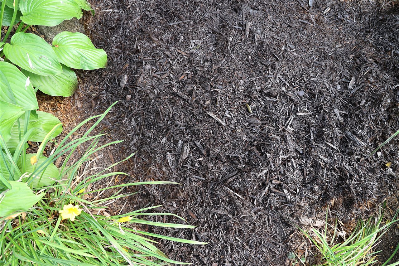 After image of land scaping with application of NorthRock Mulch Renew<sup><sup><sup><sup><sup><sup><sup><sup><sup><sup>&reg;</sup></sup></sup></sup></sup></sup></sup></sup></sup></sup>, from TCC Materials