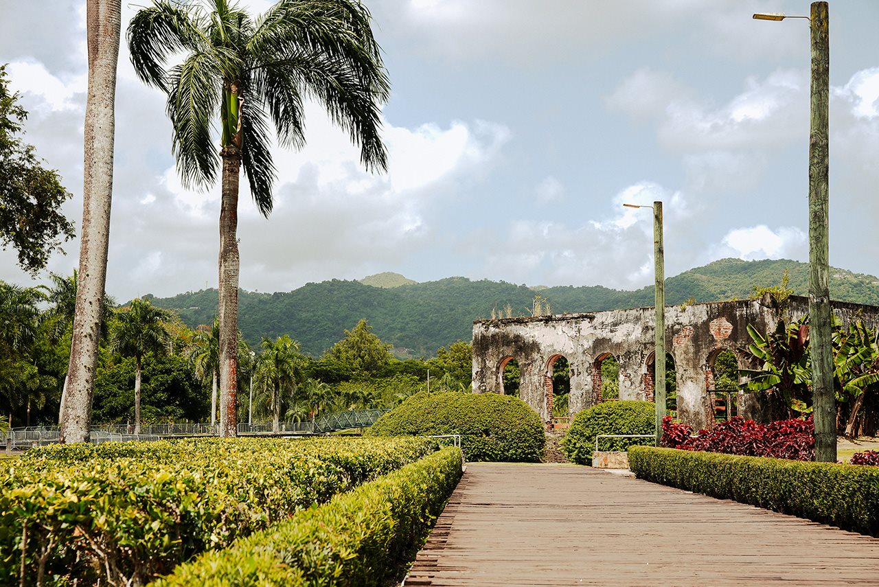 Palm trees and historical ruins in Caguas, Puerto Rico.