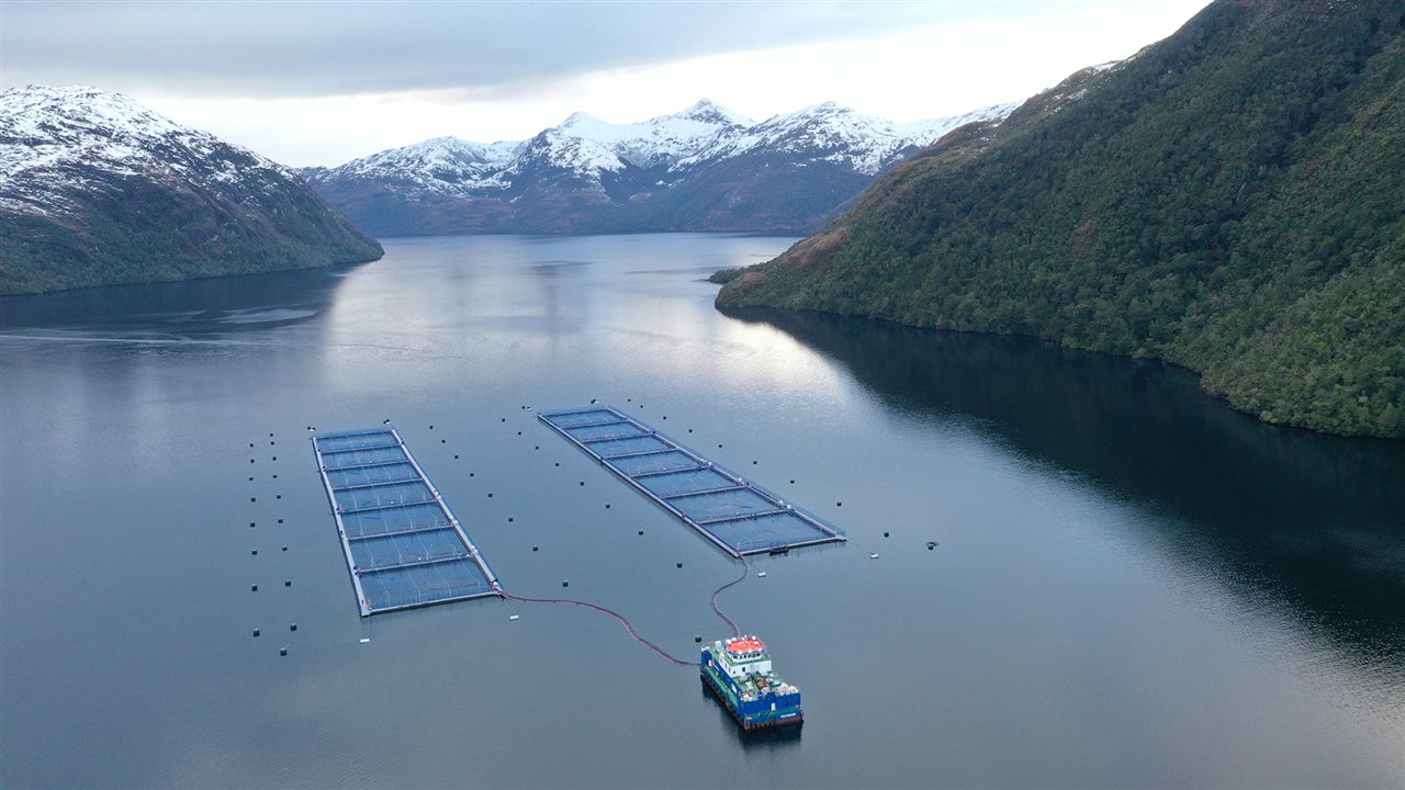 A Centro Magallanes salmon farm.