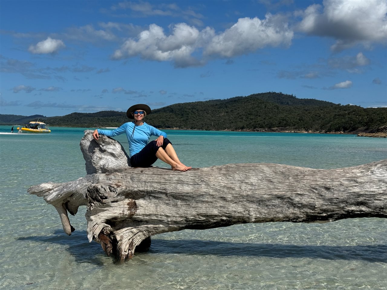 Sherris sitting on a tree in shallow inlet waters