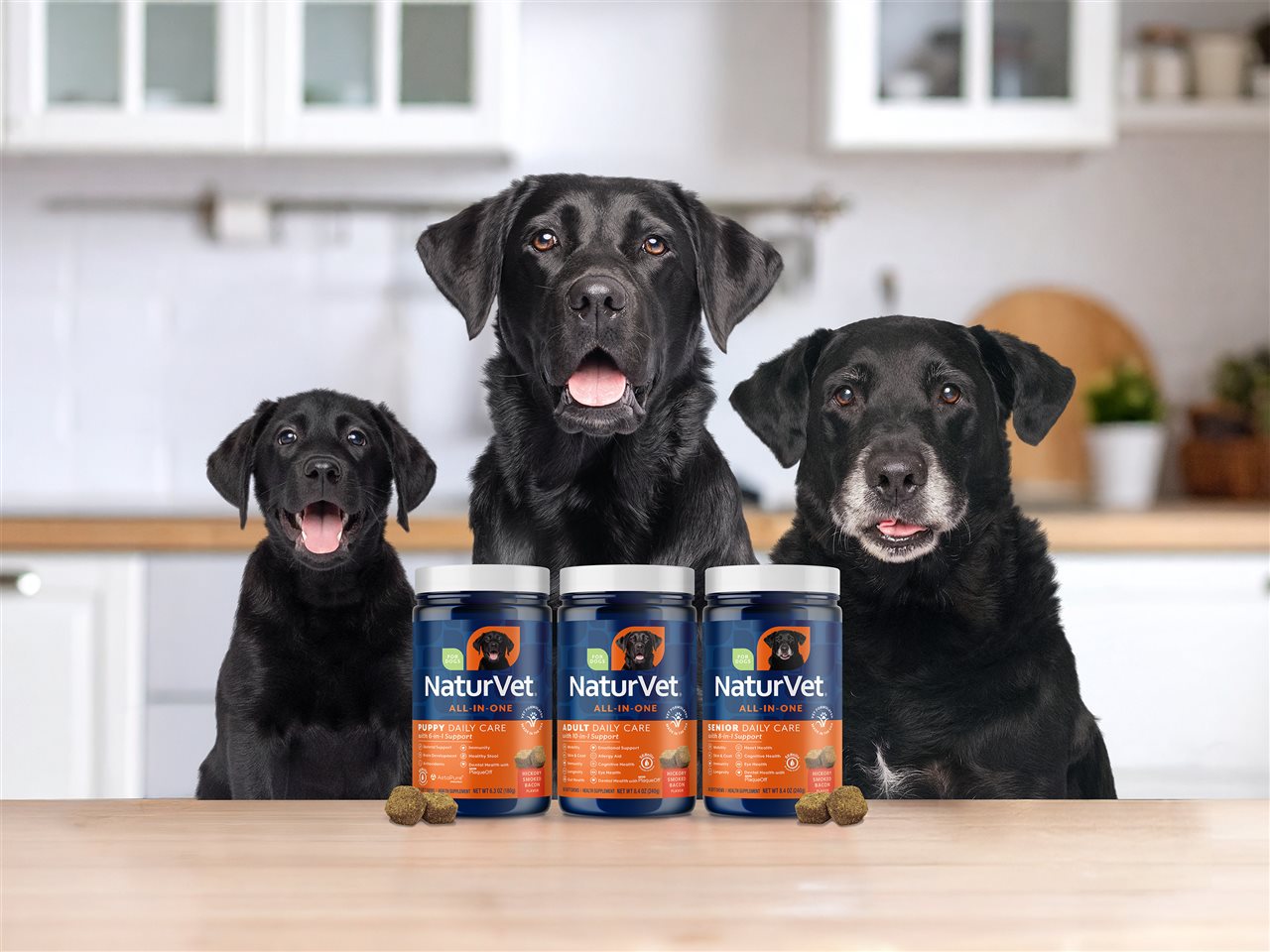 Three dogs a puppy, an adult and a senior
