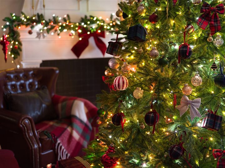 LED lights on a Christmas tree next to cozy leather chair.