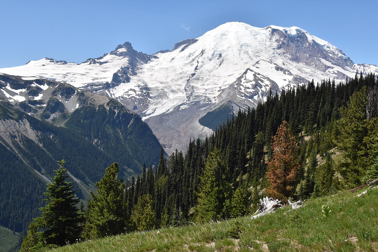 Mount Rainier National Park