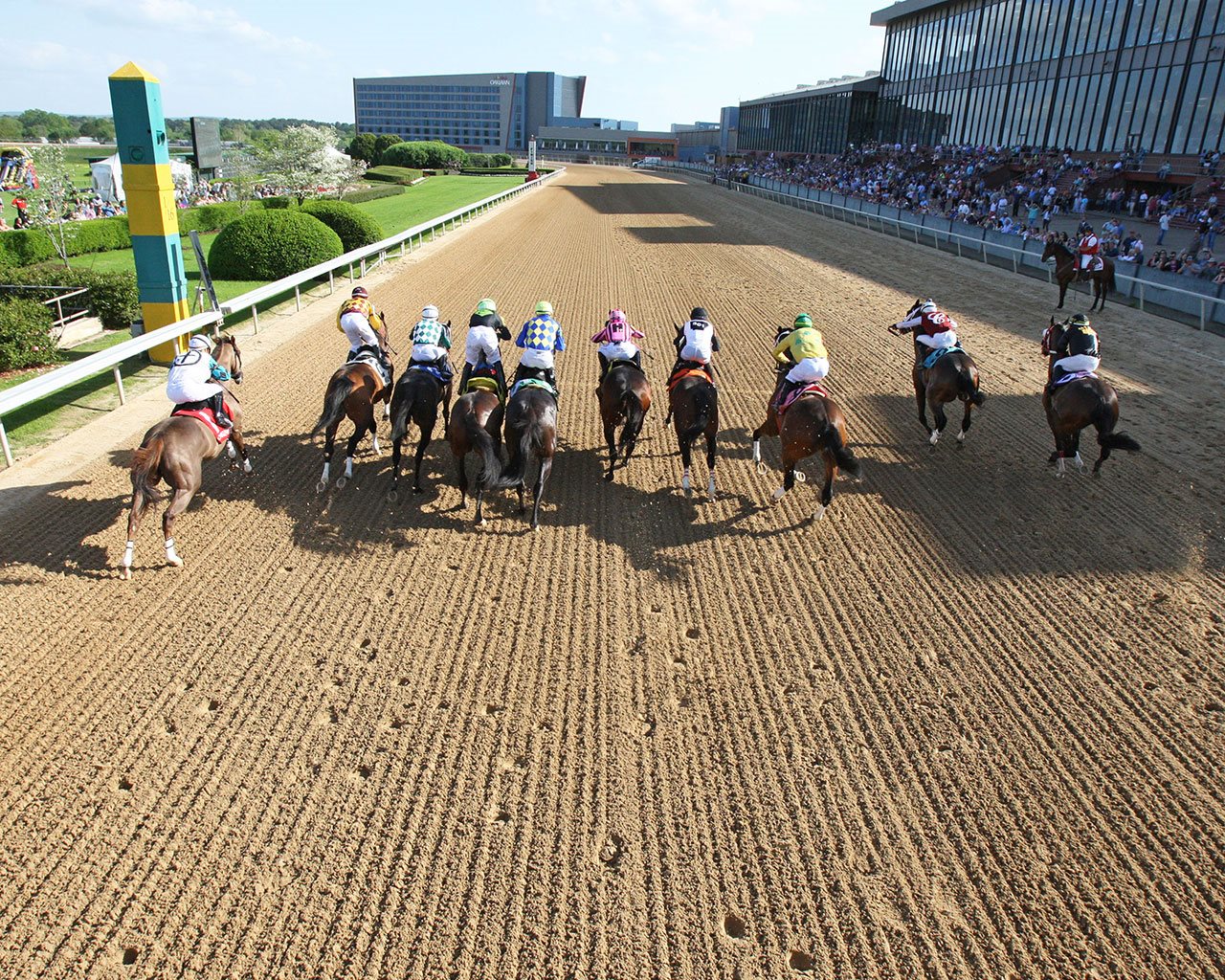 Birds eye view of horses racing on Oaklawn Hot Springs track.