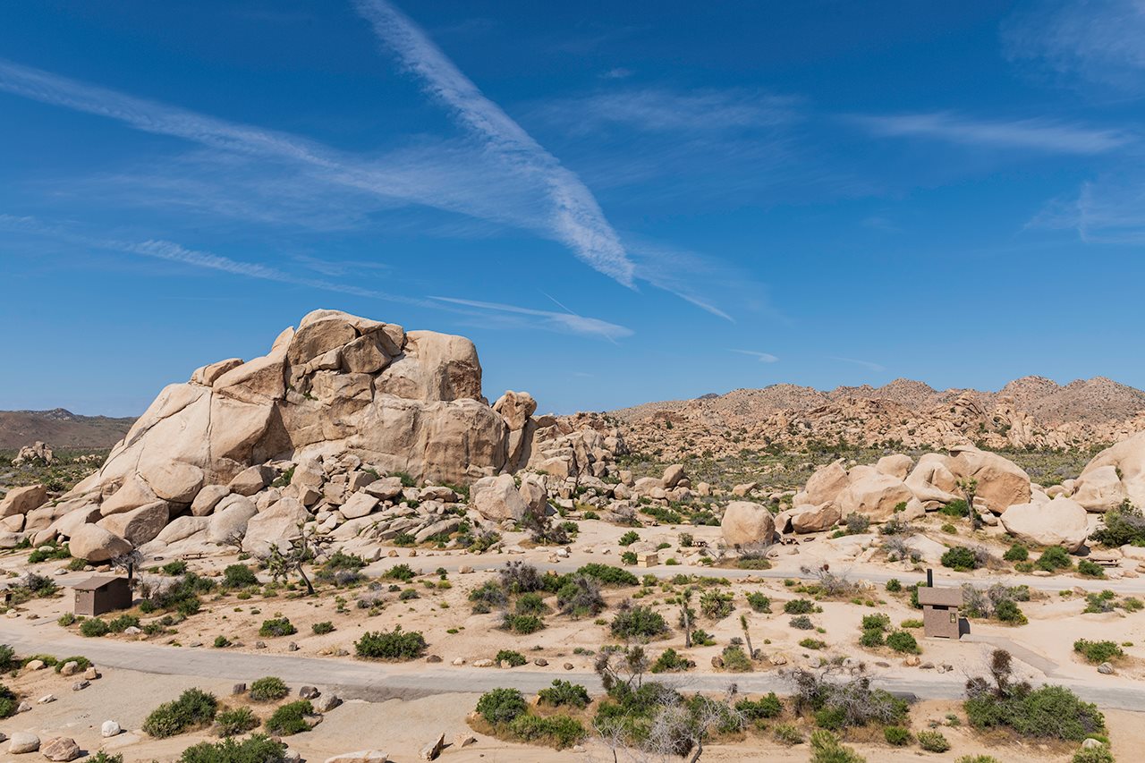 Joshua Tree National Park