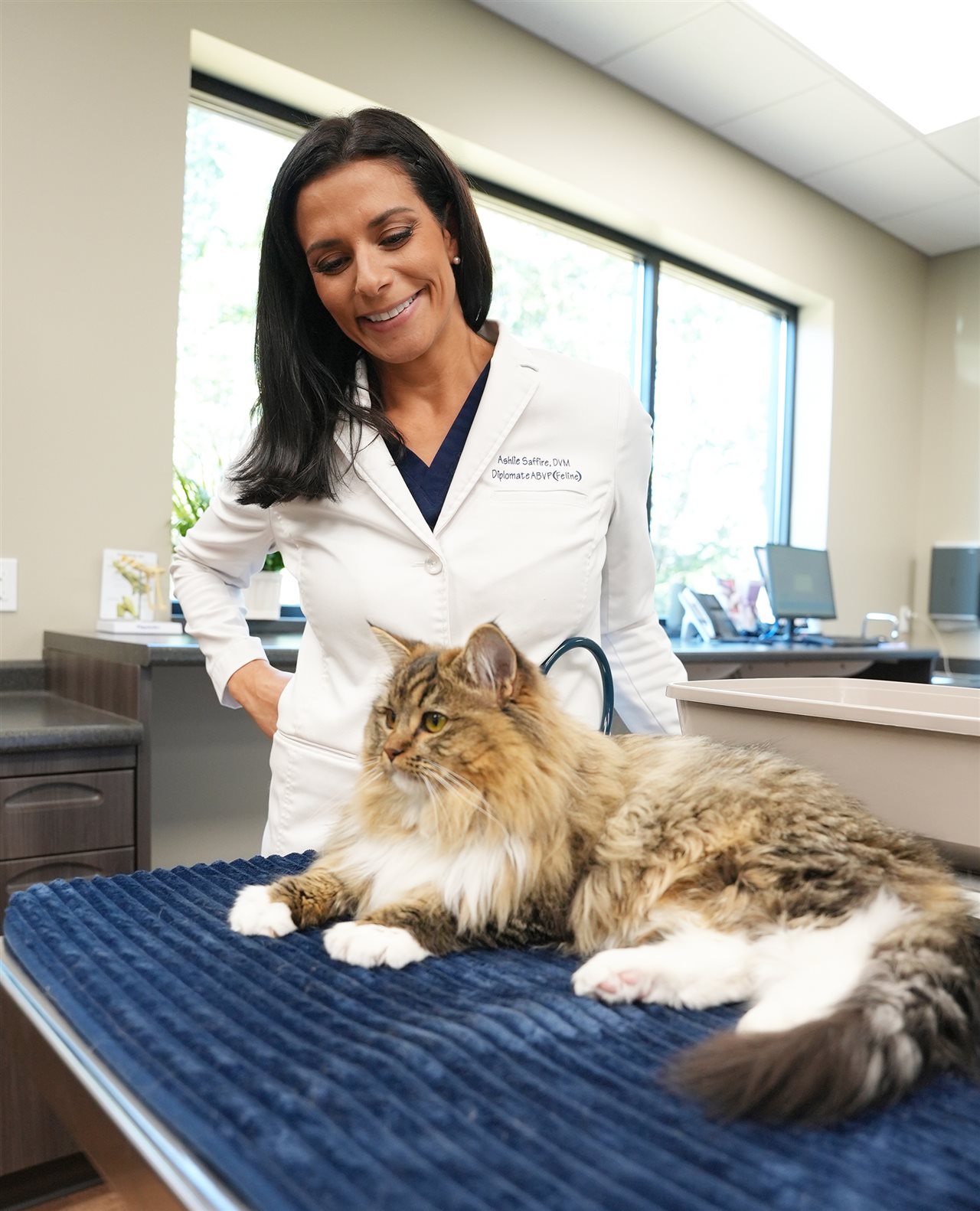 Dr. Ashlie Saffire, DVM, DABVP (felina), fundadora y veterinaria principal del Centro de especialidades para gatos de Faithful Friends Clinic.