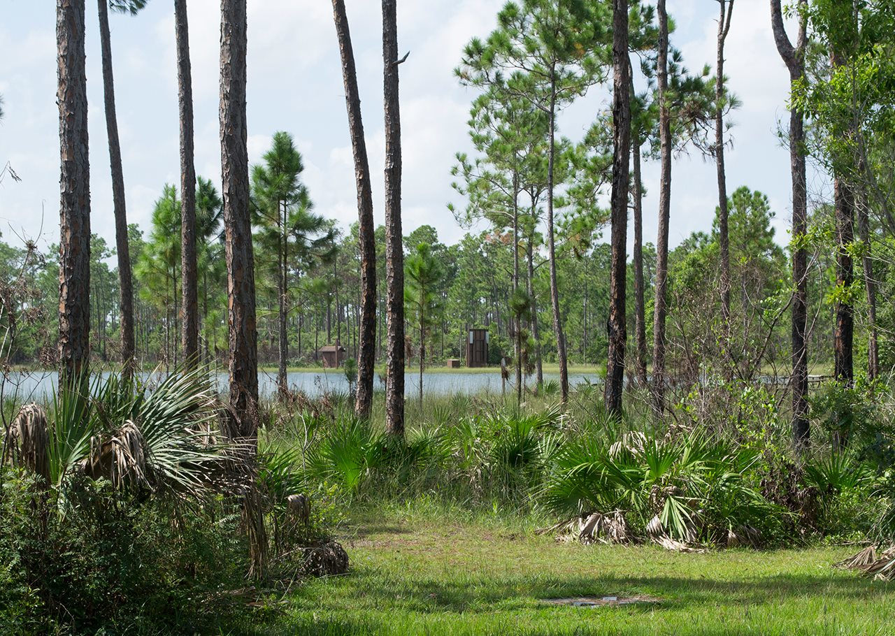 Everglades National Park